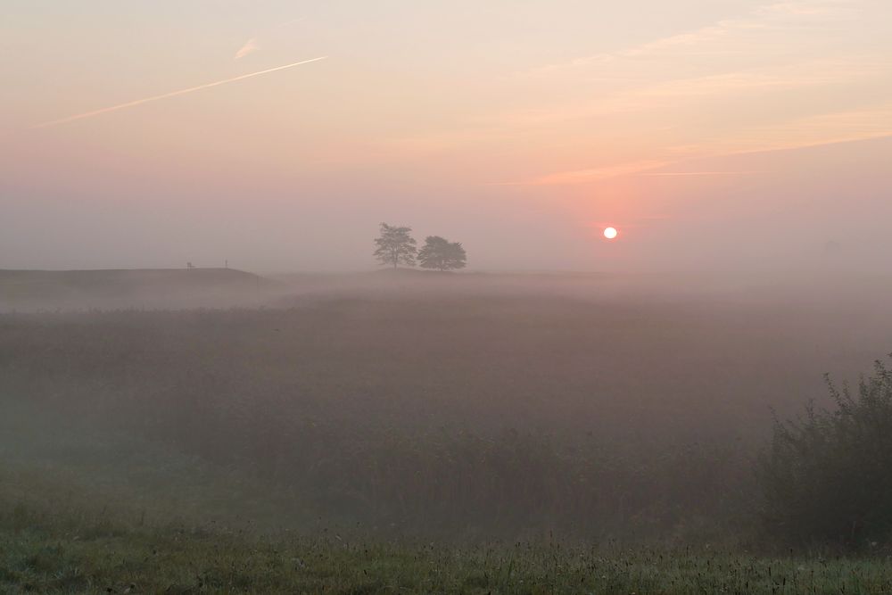 Morgen - Nebel