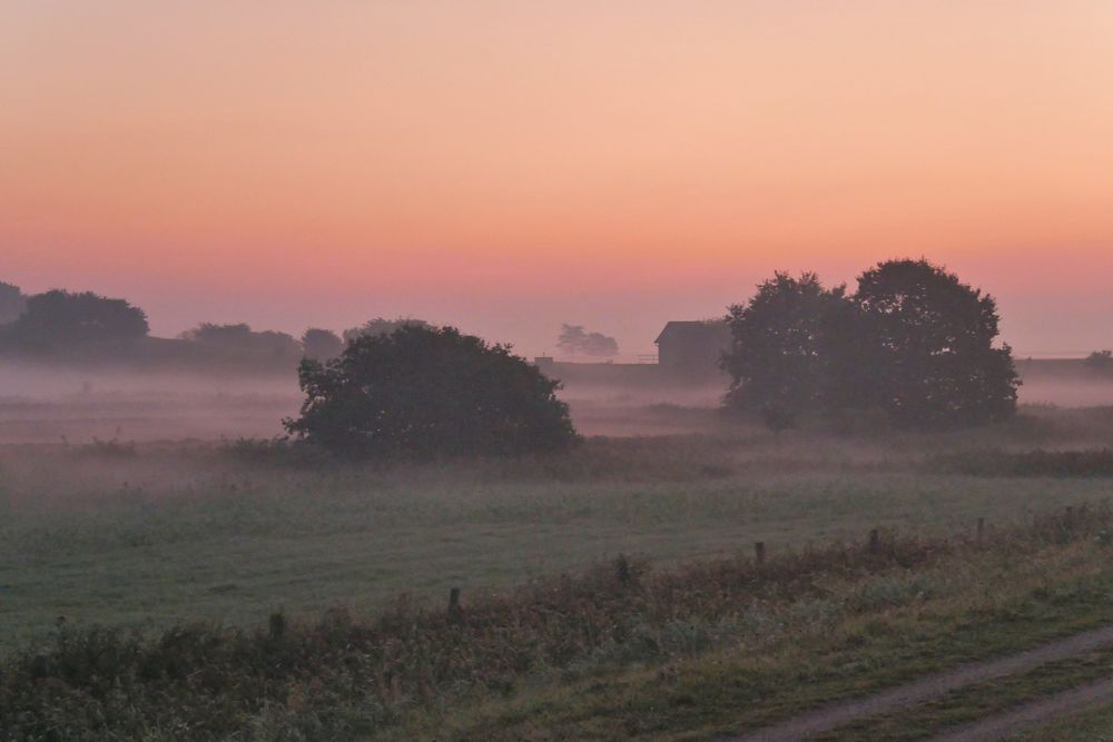 Morgen - Nebel