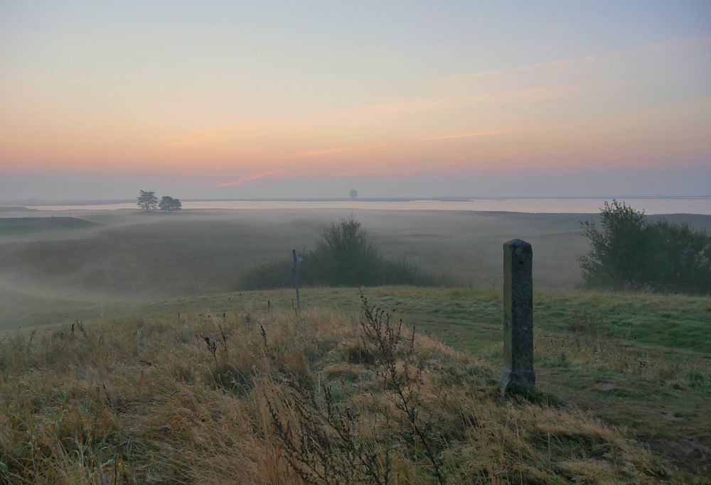 Morgen - Nebel