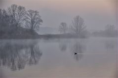 Morgen - NEBEL