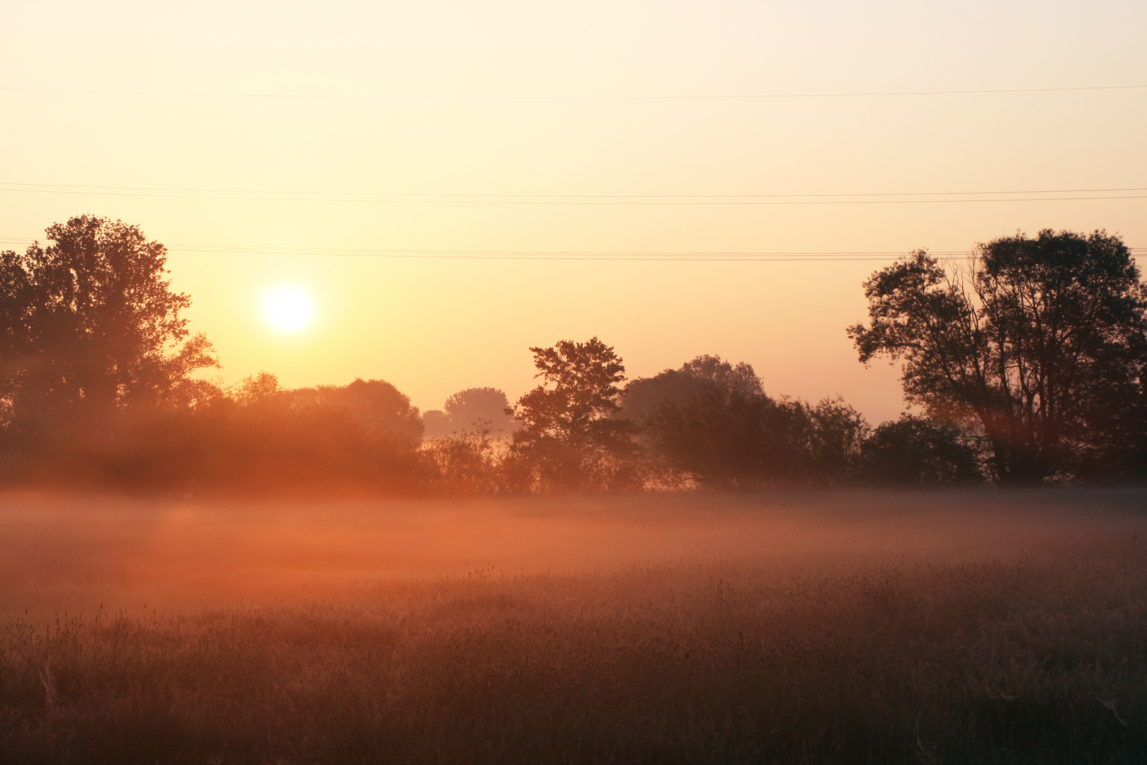 Morgen Nebel 2