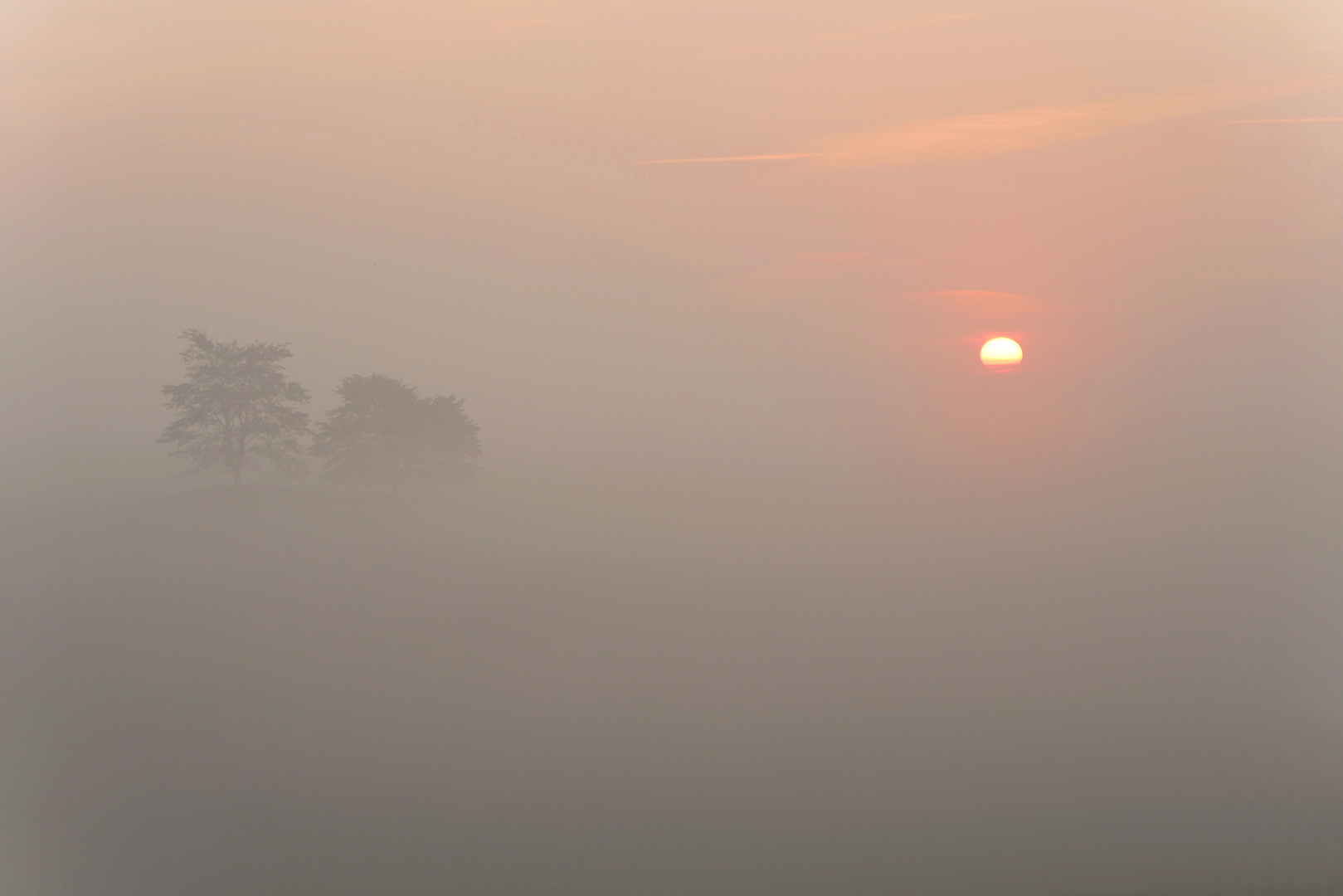 Morgen - Nebel