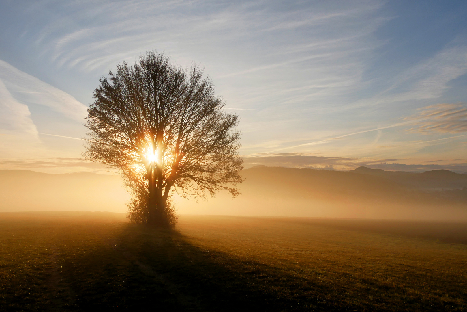 Morgen - Nebel