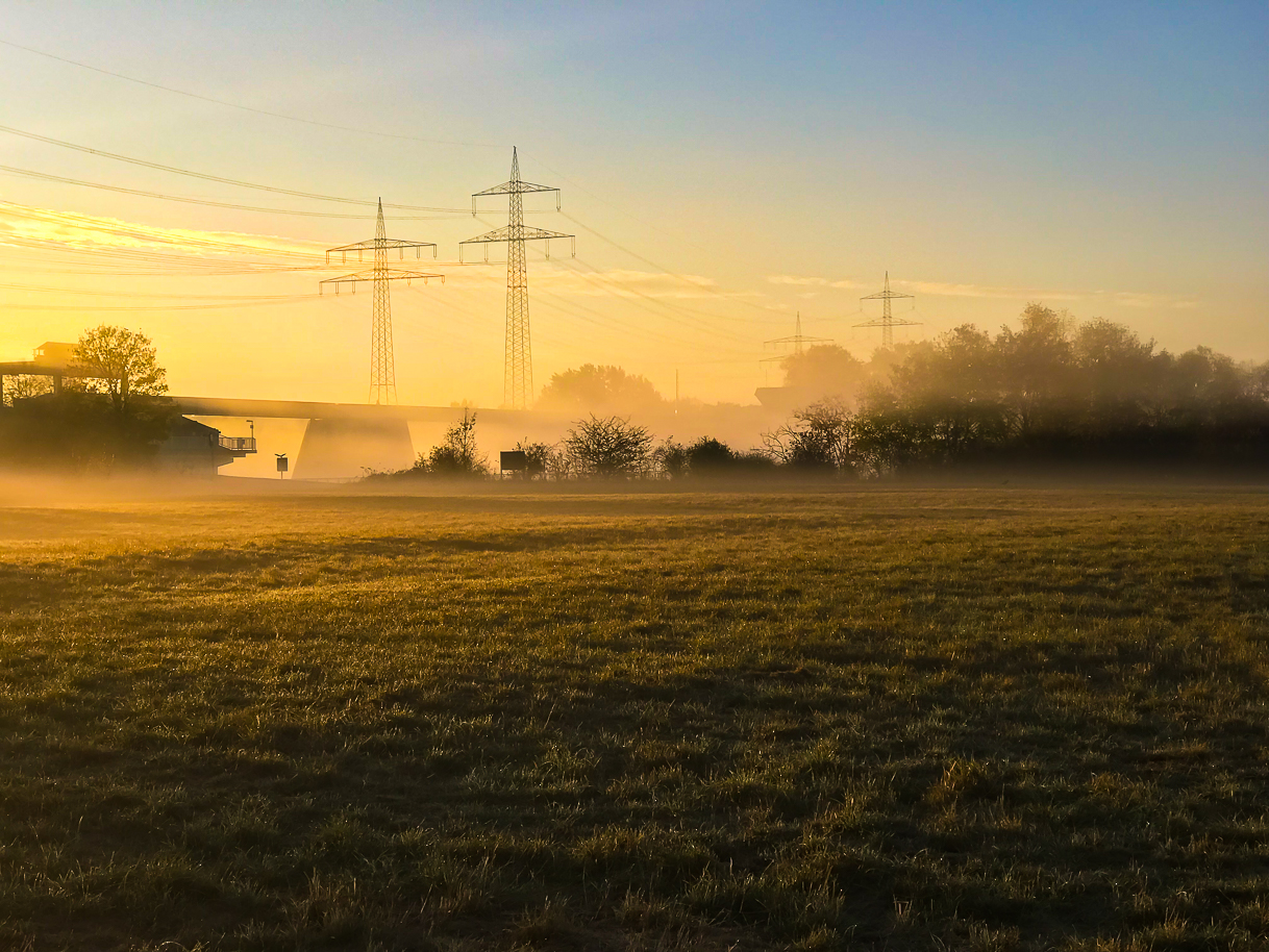 morgen nebel