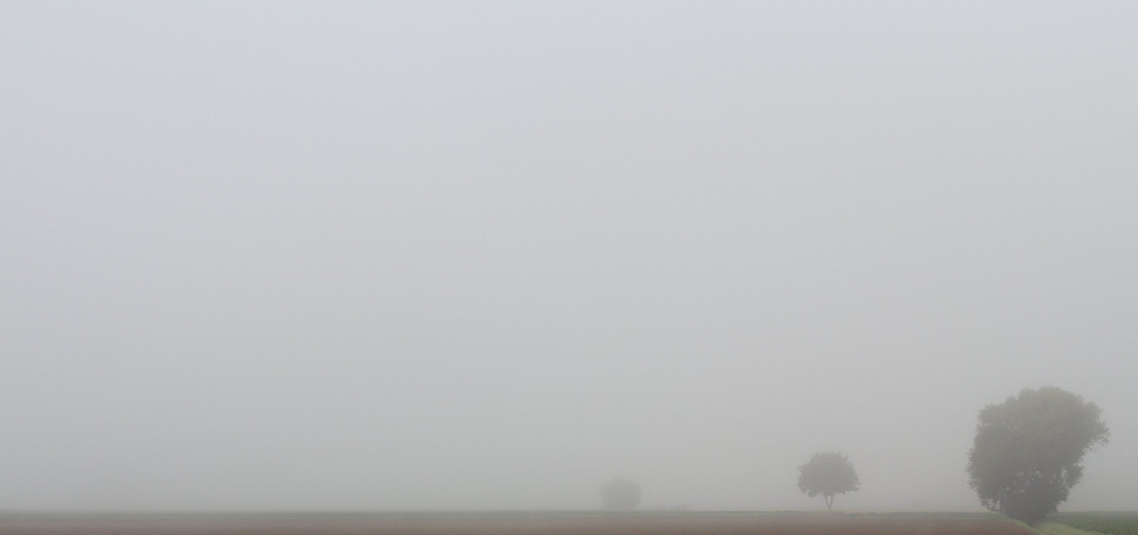 Morgen - Nebel