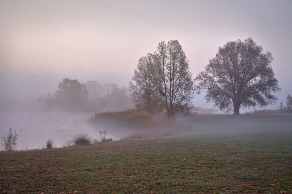 MORGEN - NEBEL