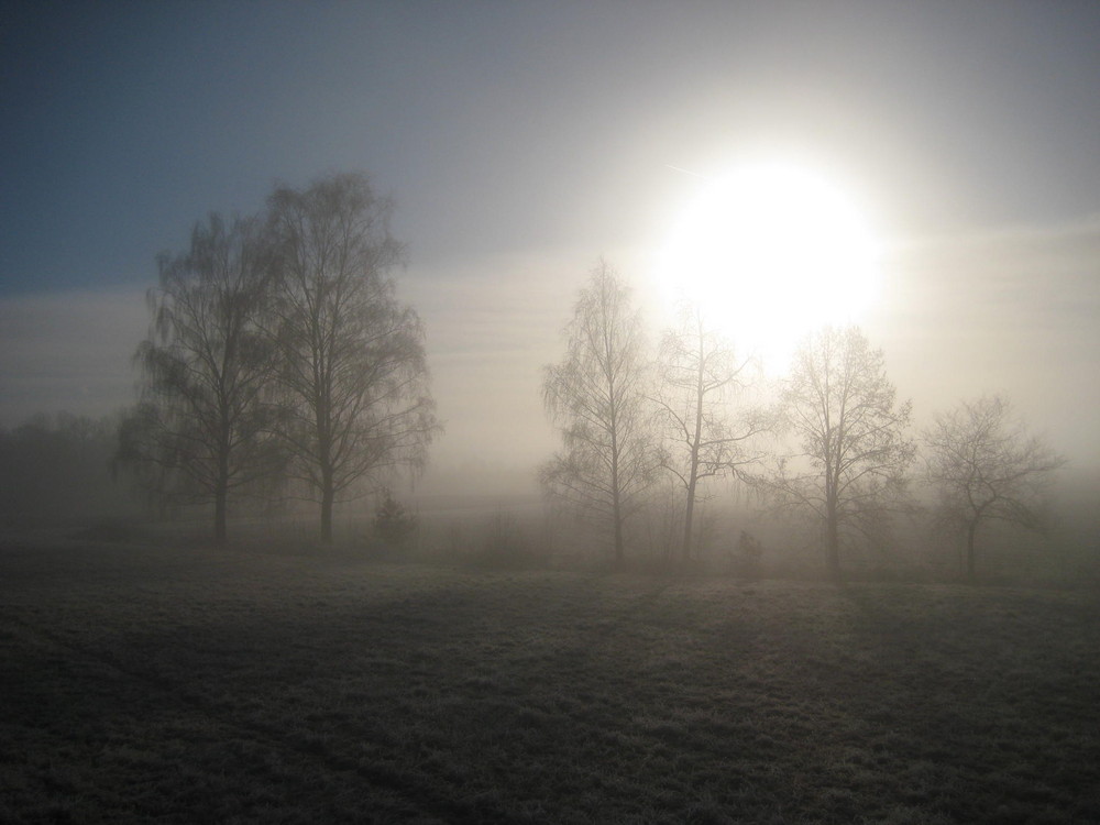 Morgen-Nebel