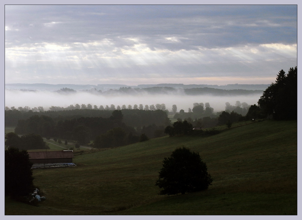 "Morgen-Nebel"