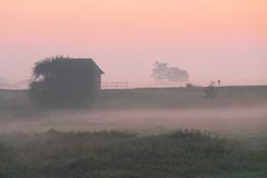 Morgen - Nebel