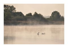 Morgen - NEBEL