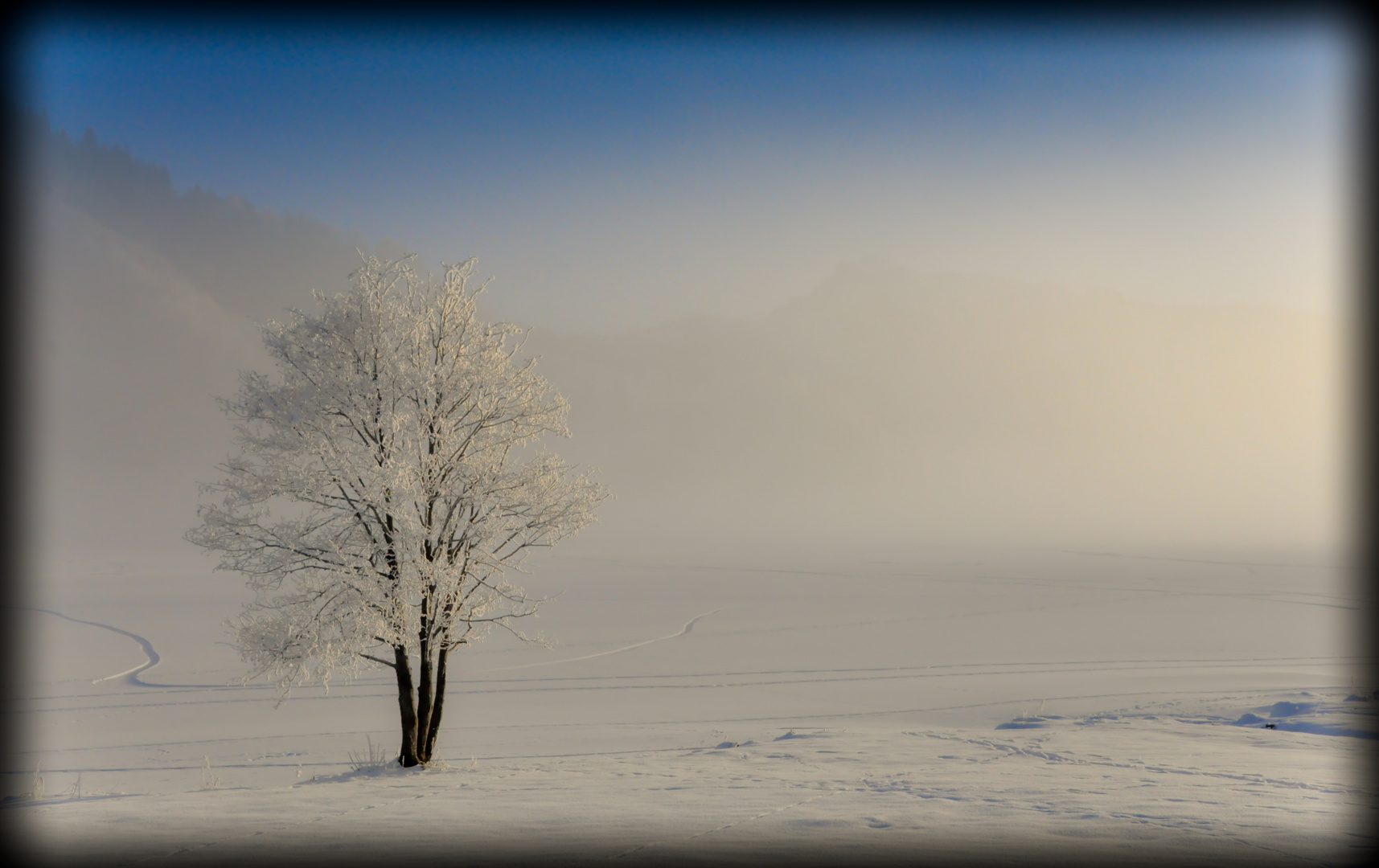 Morgen Nebel am Sihlsee