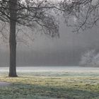 Morgen Nebel am Unisee Bremen 