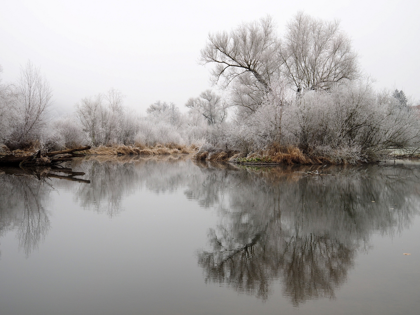 Morgen Nebel an der Fränkischen Saale 