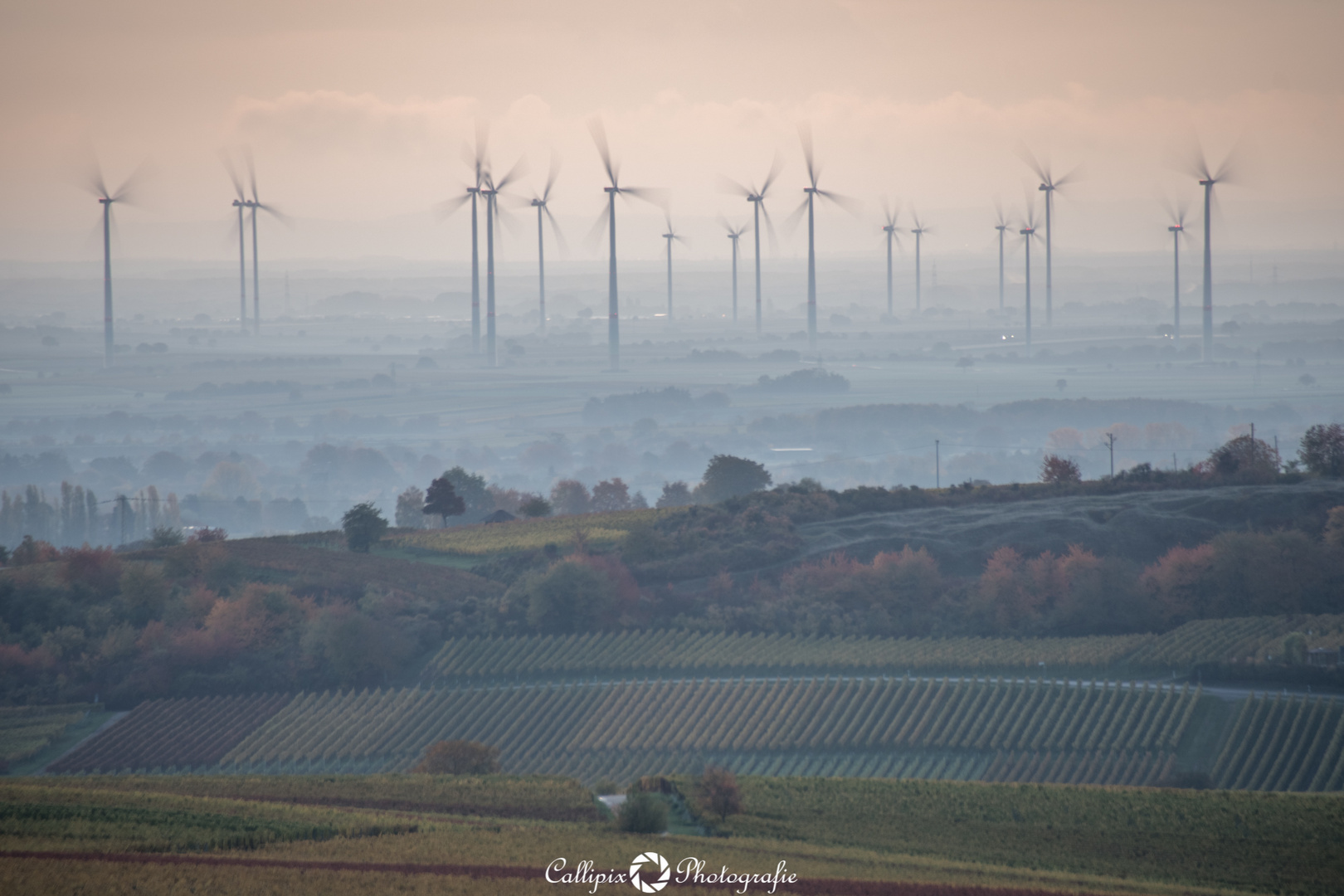 Morgen-Nebel