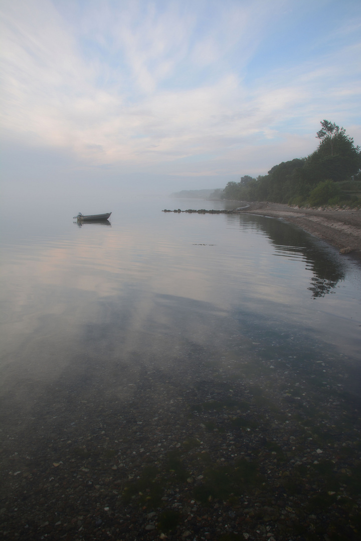 MORGEN -NEBEL