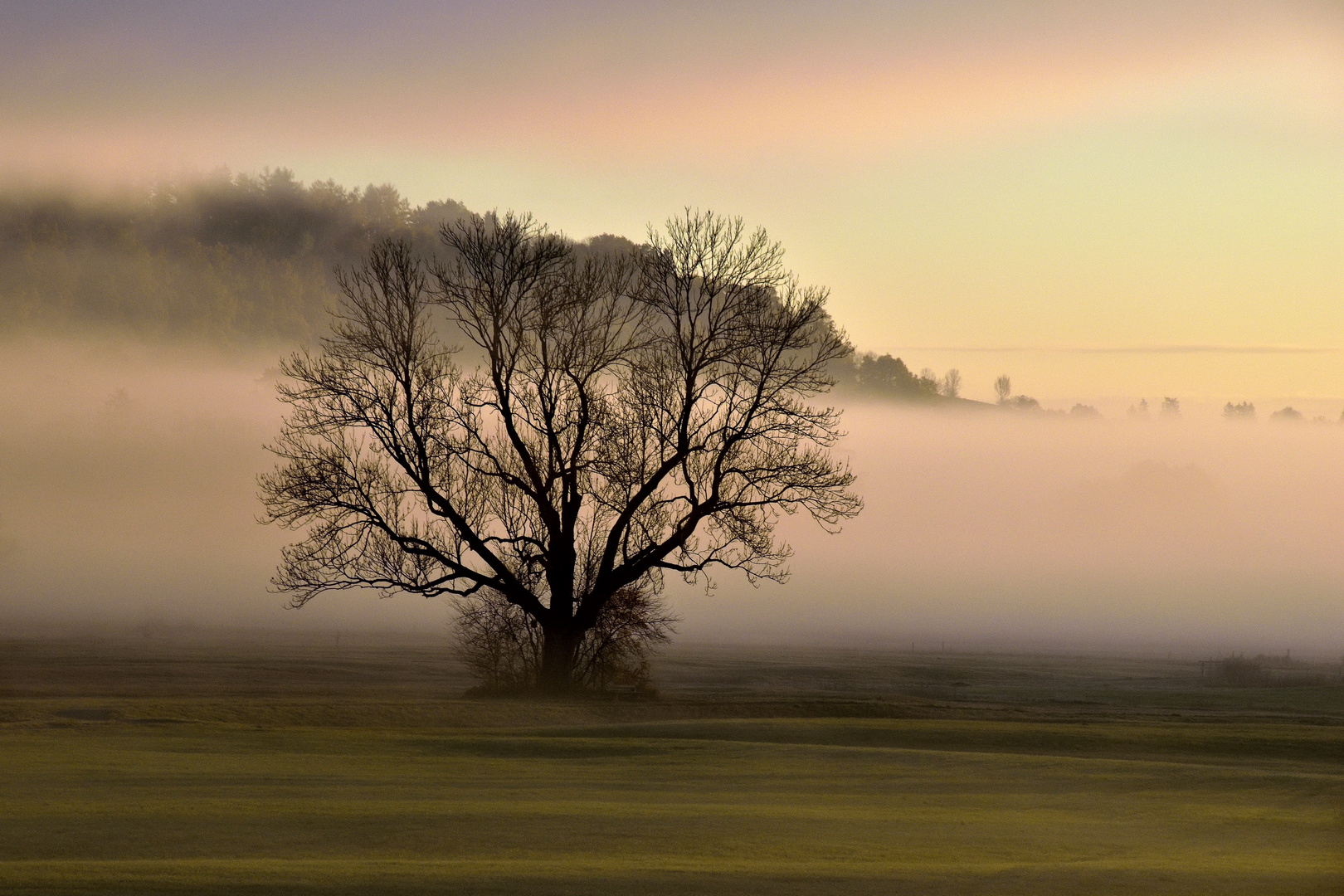 Morgen-Nebel