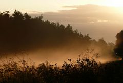 Morgen Nebel