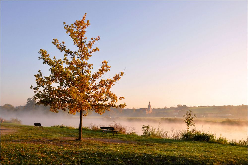 Morgen - NEBEL