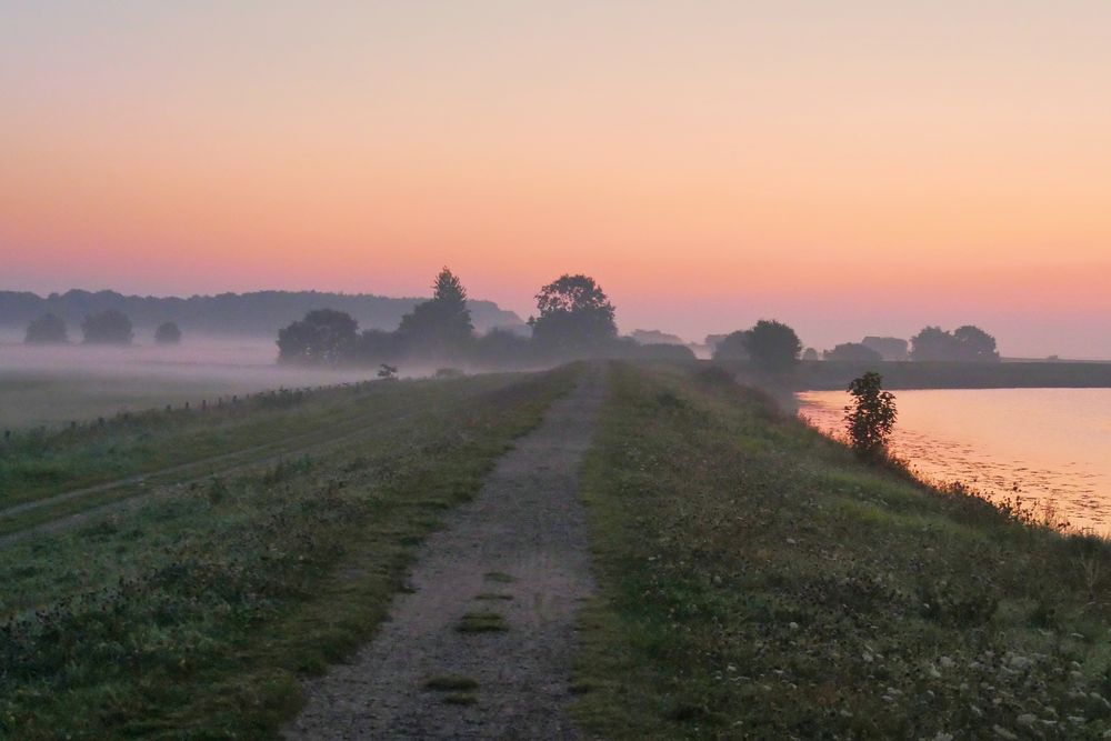 Morgen - Nebel