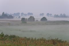 Morgen - Nebel