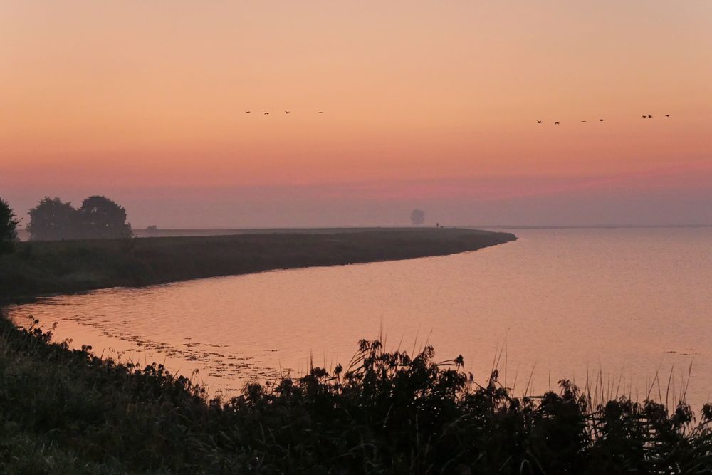 Morgen - Nebel