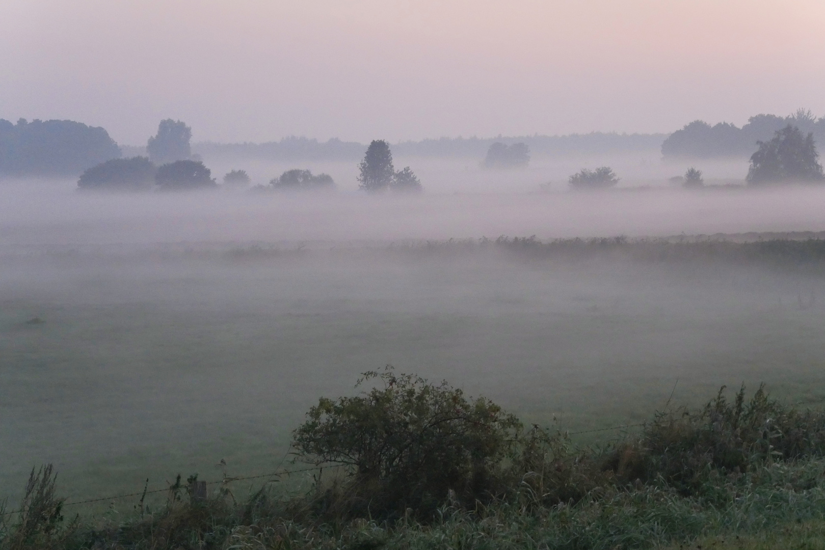 Morgen - Nebel