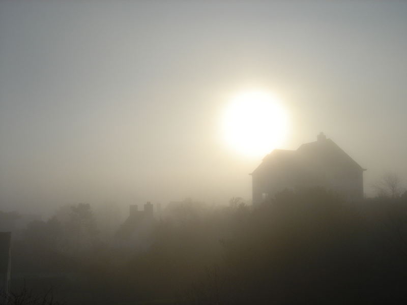 Morgen Nebel