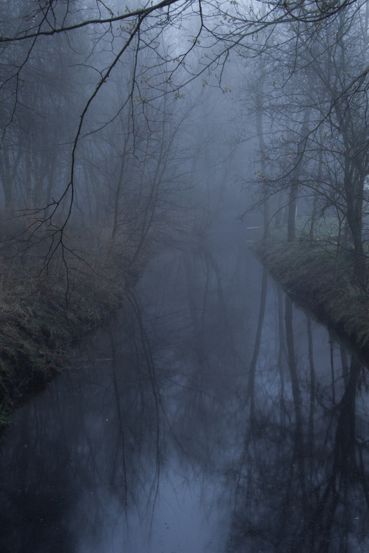 Morgen Nebel