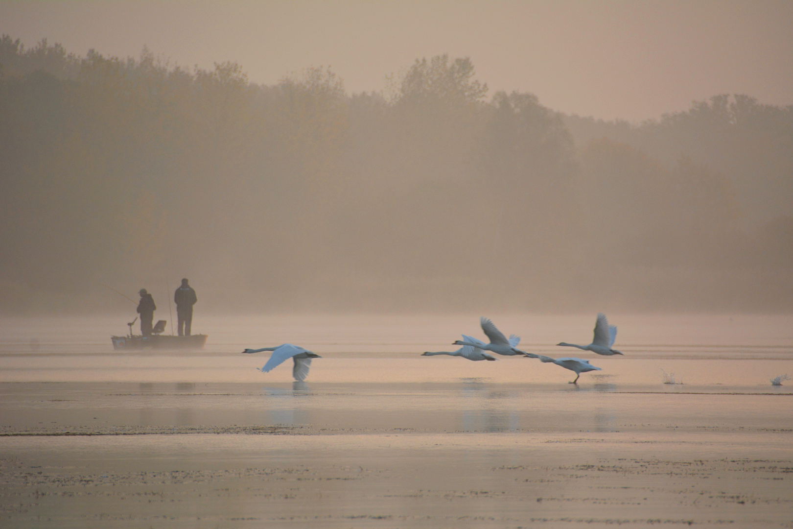 MORGEN-Nebel