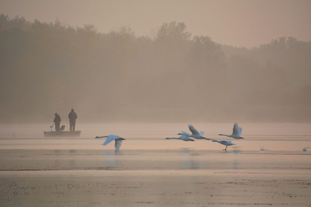 MORGEN-Nebel