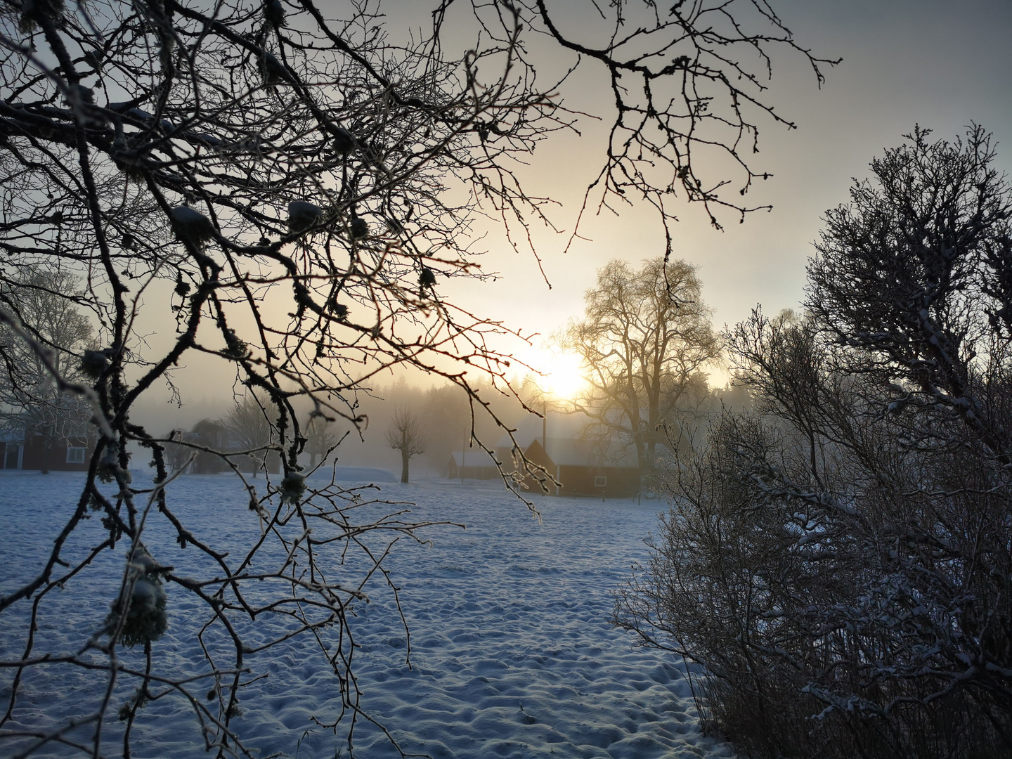 Morgen-Nebel