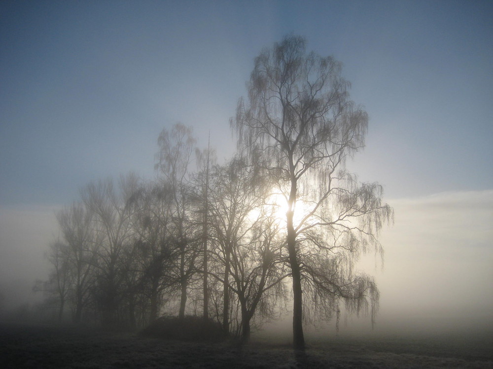 Morgen-Nebel II