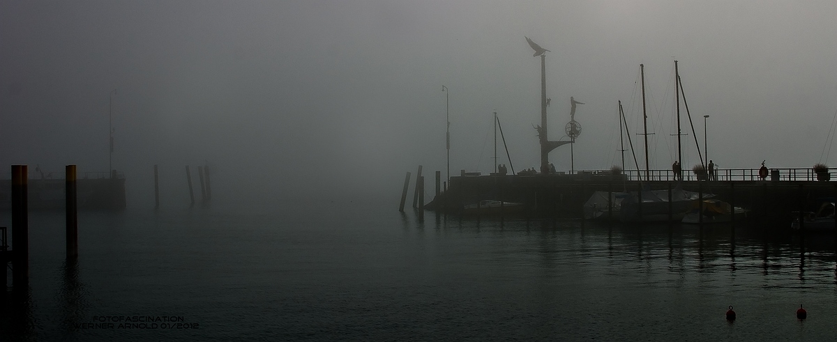Morgen-Nebel im Hafen von Meersburg
