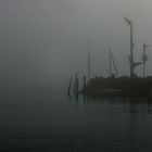 Morgen-Nebel im Hafen von Meersburg