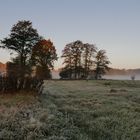 Morgen Nebel in der Wildeshauser Geest