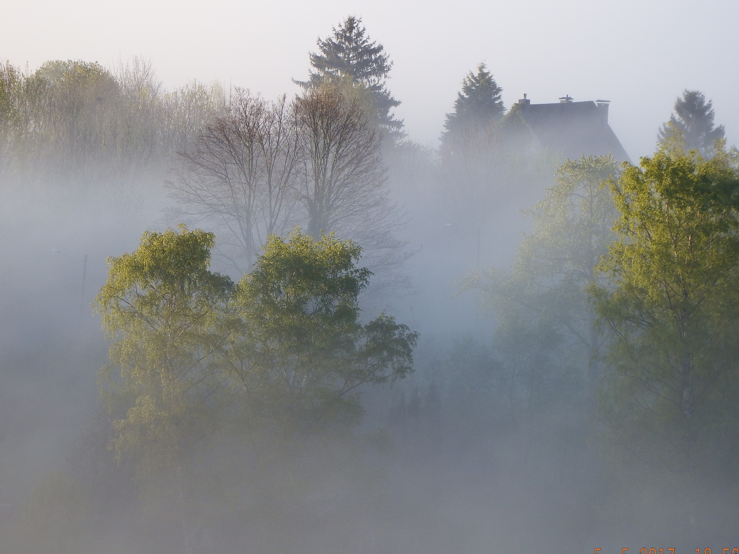 Morgen Nebel in Volmarstein Schmandbruch