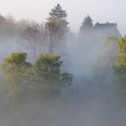 Morgen Nebel in Volmarstein Schmandbruch