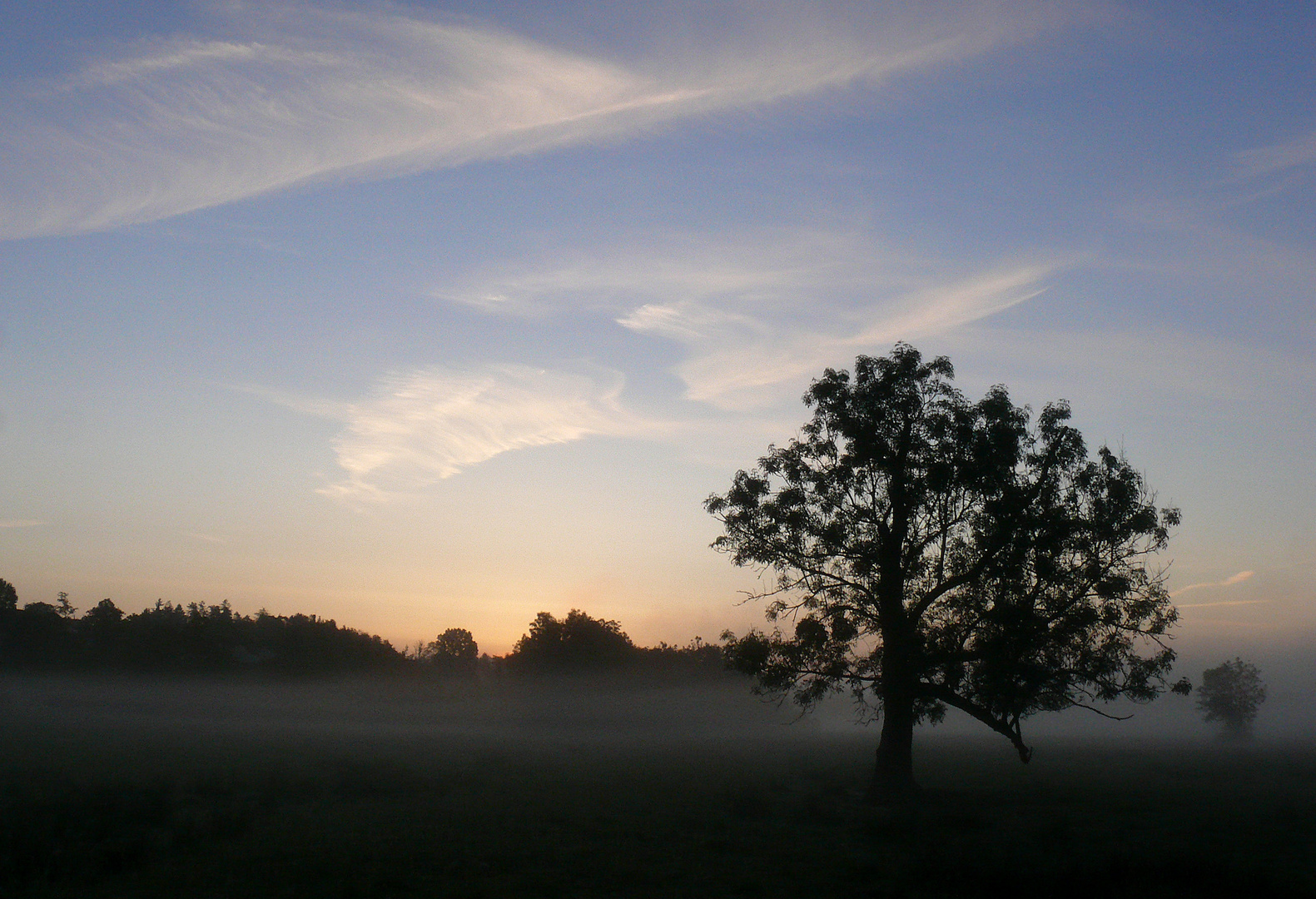 Morgen-Nebel-Stimmung