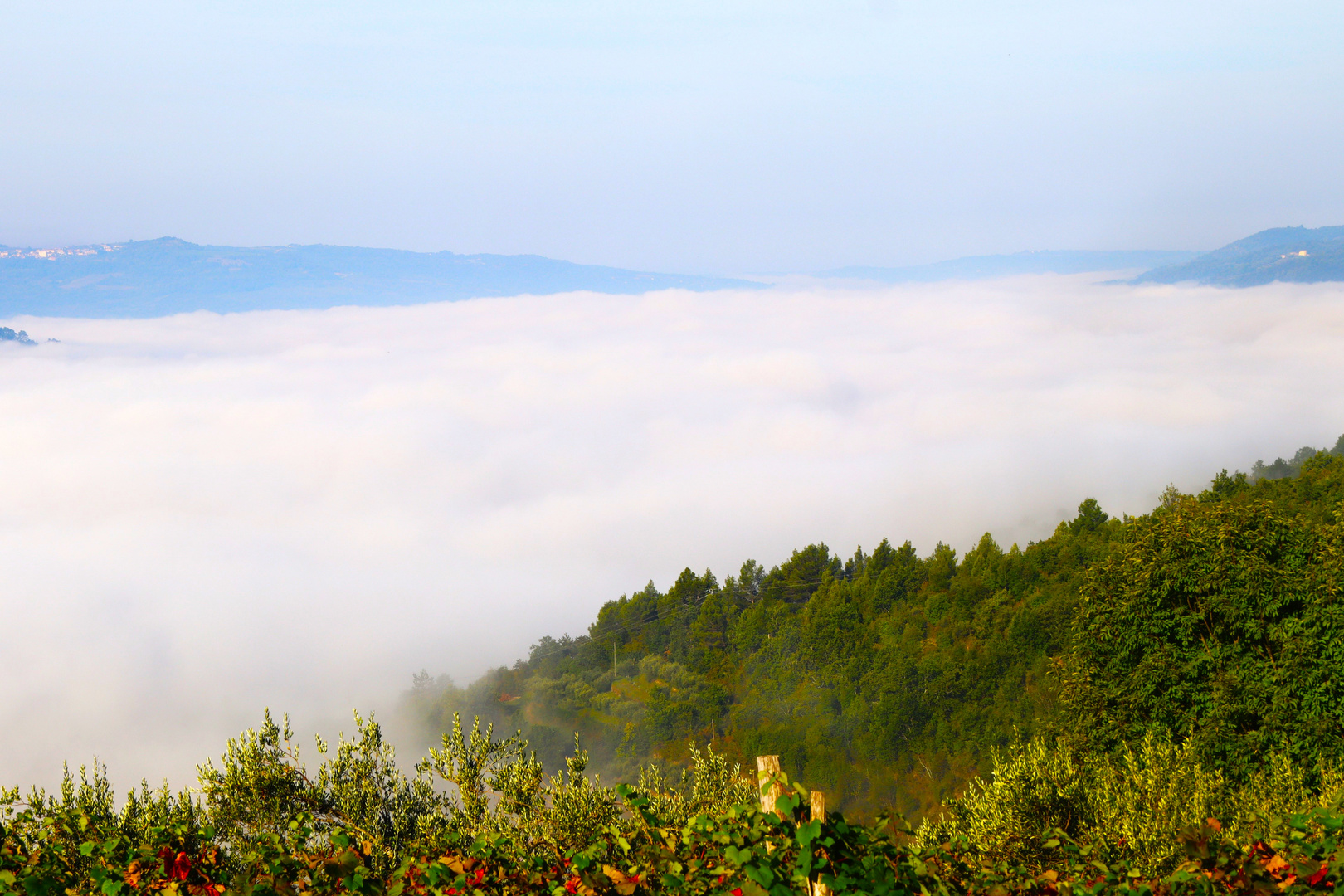 Morgen Nebel über dem Tal