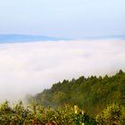 Morgen Nebel über dem Tal