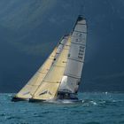 Morgen Regatta am Gardasee