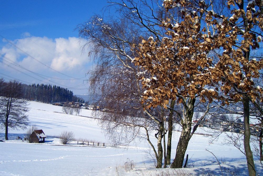 morgen schneit es hoffentlich nicht