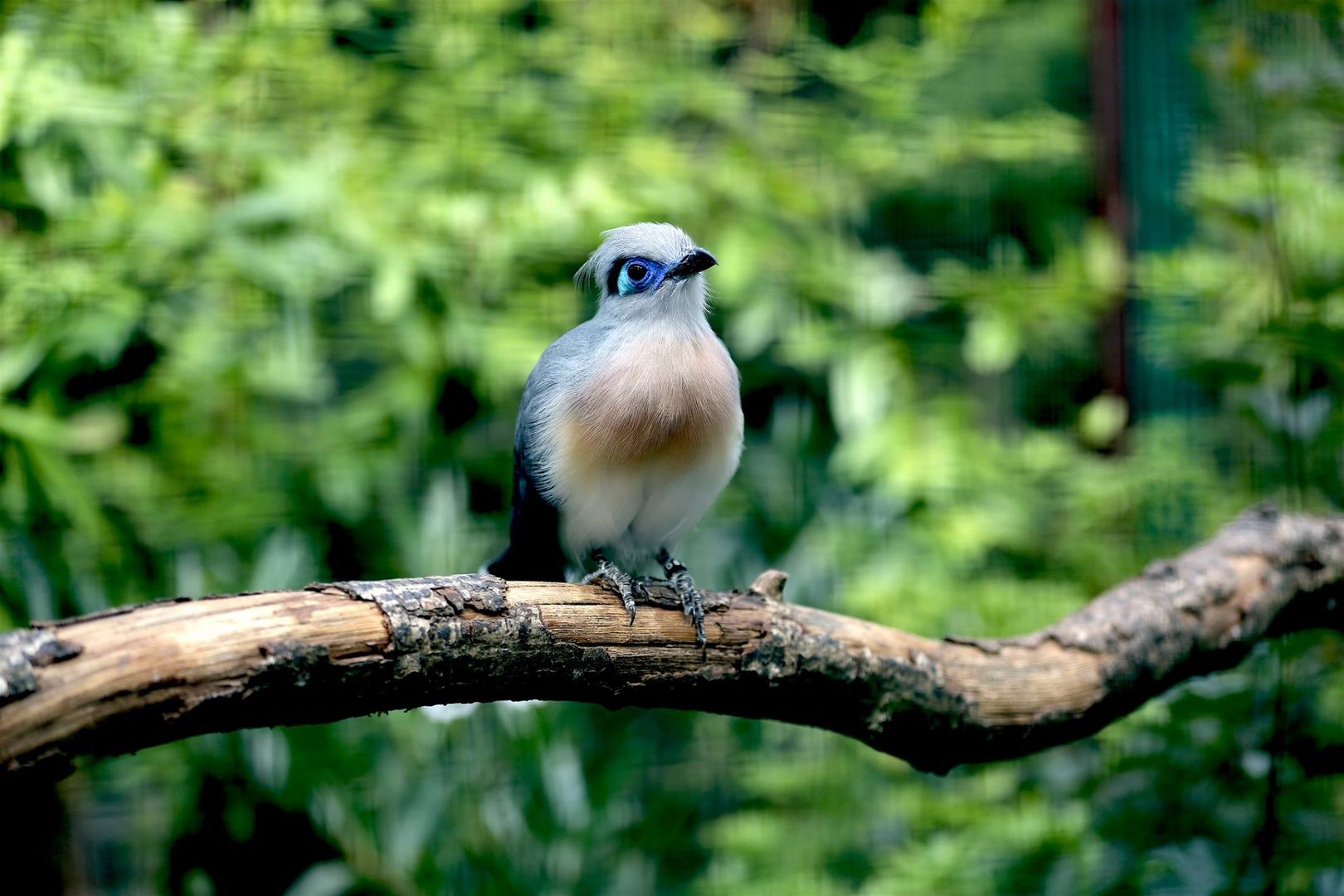 Morgen Sehen Wir Uns Wieder Foto Bild Tiere Zoo Wildpark