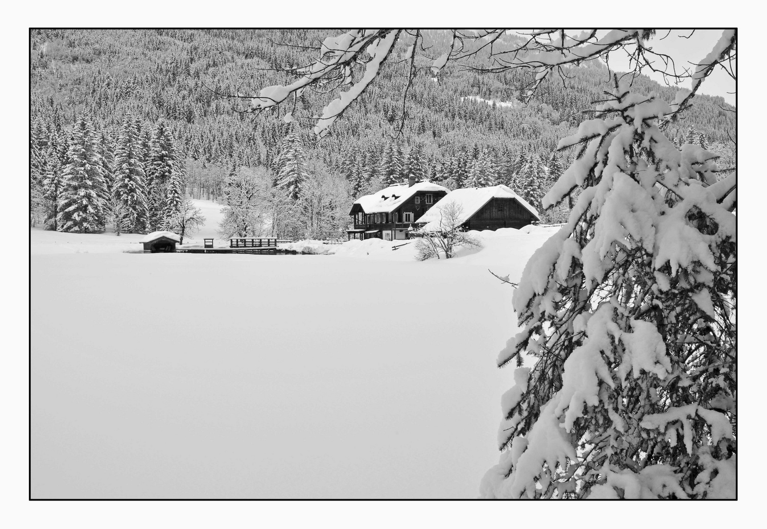 morgen soll es wieder schneien - Der Jägersee im Winter