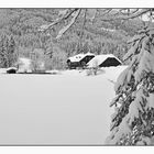 morgen soll es wieder schneien - Der Jägersee im Winter