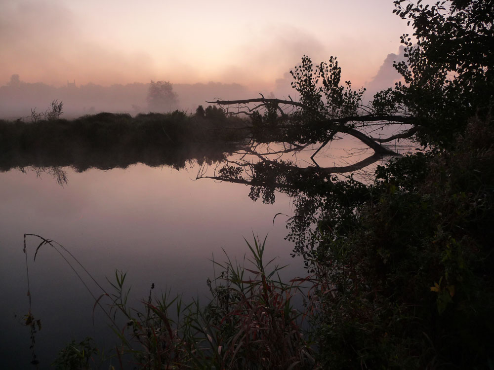 Morgen Stimmung am alten Lippe Arm