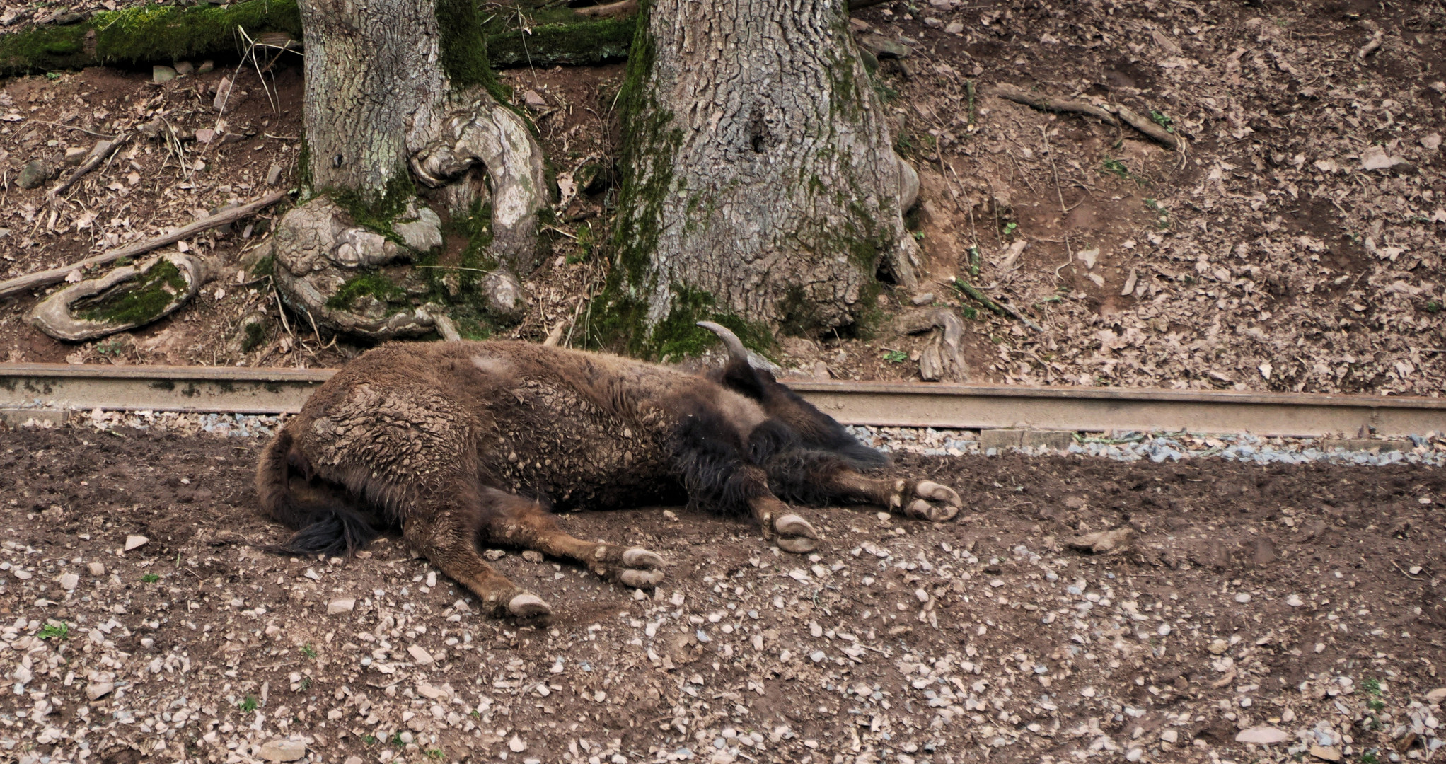 Morgen streiken alle Bahnen …