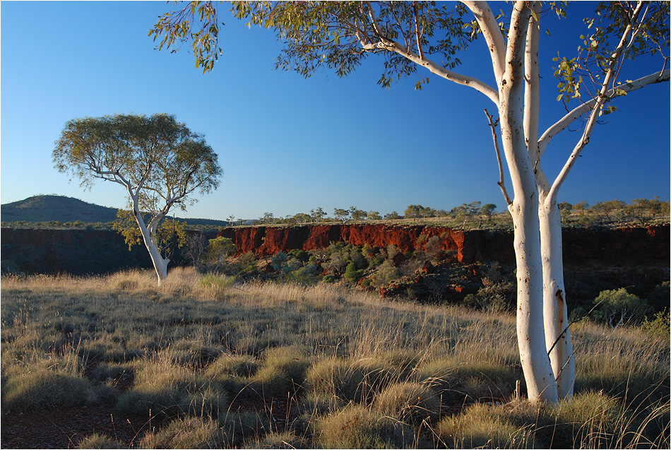 Morgen über dem Dales Gorge