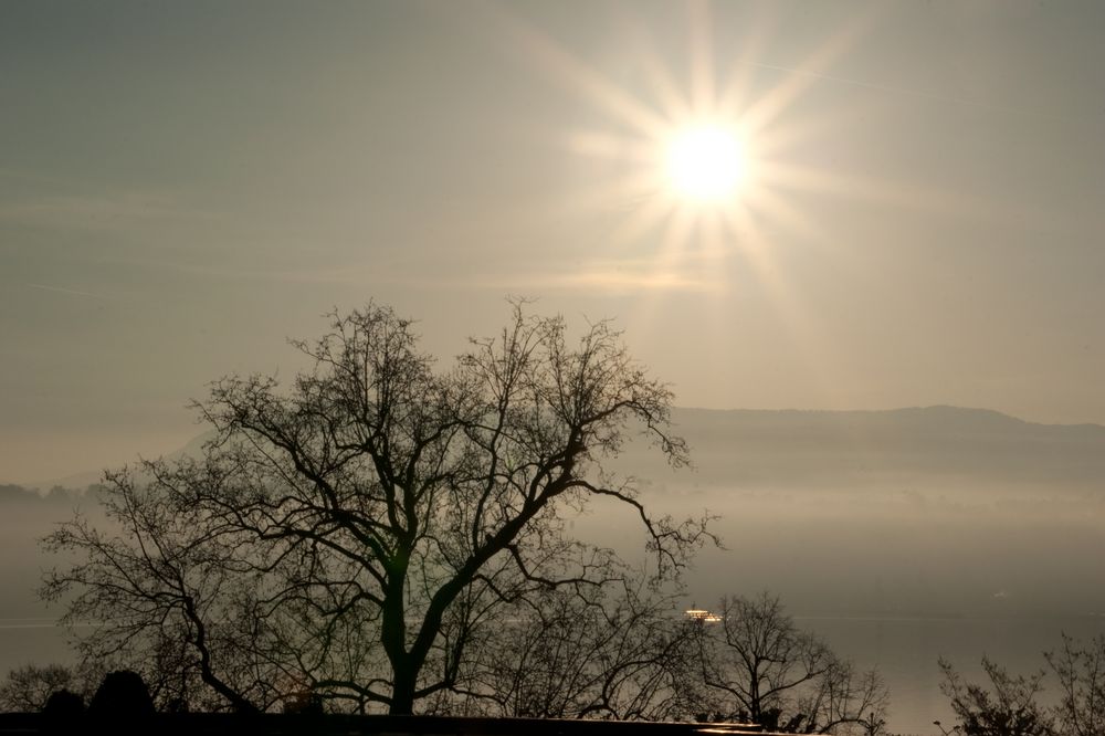 Morgen über dem Lac Leman