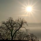 Morgen über dem Lac Leman